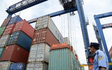 Chuyện lạ: Xuất khẩu nông sản Việt giảm hơn một nửa vì thiếu… container