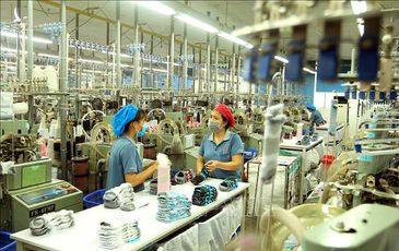 McKinsey: Việt Nam sẽ có 12 hệ sinh thái với doanh thu 100 tỷ USD vào 2025