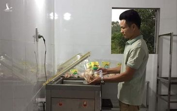 Gà đồi sinh học và thương hiệu Nhị Nguyễn