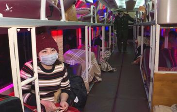 Quảng Ninh khẩn cấp tạm dừng toàn bộ hoạt động vận tải hành khách