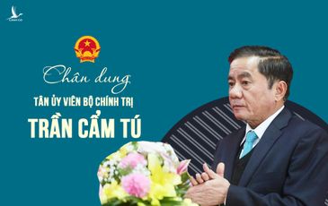 Chân dung tân Ủy viên Bộ Chính trị Trần Cẩm Tú