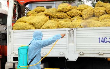 Nông nghiệp trước COVID-19: Yêu cầu của Thủ tướng về 3 không gian kinh tế