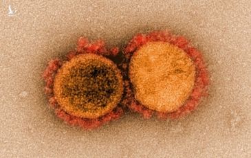 ‘Kịch bản ác mộng’ từ biến chủng virus mới phát hiện ở California