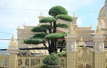 Lật lại vụ án Thiện ‘Soi’ cùng căn biệt thự dát vàng