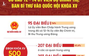 Dự kiến 12 – 14 Ủy viên Bộ Chính trị, Ban Bí thư vào Quốc hội khóa mới