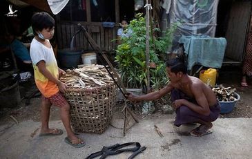 WFP: Đảo chính, bạo loạn – Myanmar tự đẩy mình vào nghèo đói