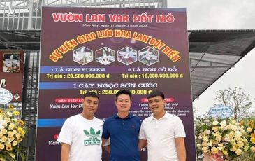 Lộ diện hai đại gia đứng sau màn giao dịch lan đột biến đầy nghi vấn, trị giá 250 tỷ