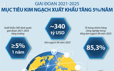 Bangkok Post đưa ra lí giải vì sao hầu hết Đại bàng thế giới đều chọn về Việt Nam xây tổ