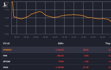 Nhà đầu tư bán tháo, chứng khoán giảm mạnh nhất từ sau Tết