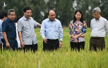 Chính phủ đẩy mạnh phát triển đối với 20 triệu dân Đồng bằng Sông Cửu Long