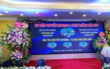 “99% vụ chuyển nhượng lan đột biến là giả”