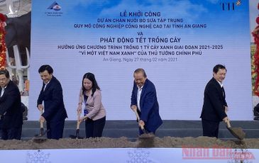 TH khởi công trại bò sữa công nghệ cao lớn nhất miền Tây tại An Giang