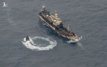 ‘Đại ngư thuyền’ Trung Quốc tàn phá biển và bá quyền đại dương
