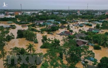 Rừng đầu nguồn sông Bến Hải bị phá: Vì sao chưa tổ chức, cá nhân nào bị kỷ luật?