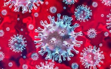 Việt Nam phát hiện thêm hai biến chủng SARS-CoV-2 mới rất nguy hiểm