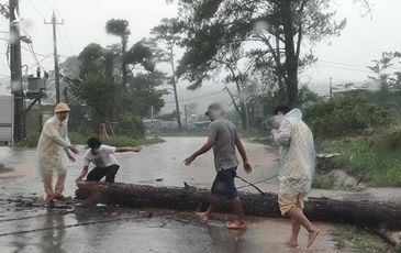 CSGT Đắk Nông dầm mưa cùng người dân dọn cây gỗ lớn đổ ngang đường