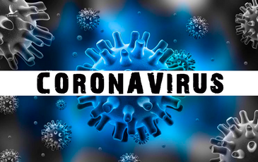 Sốc: Nghiên cứu cho thấy virus corona đã có từ 20.000 năm trước