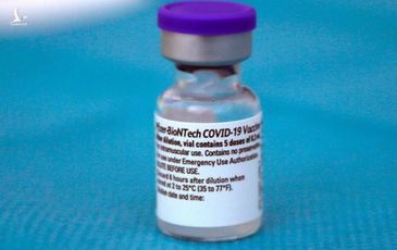 Đại diện Pfizer: Chúng tôi không đàm phán vaccine với các doanh nghiệp