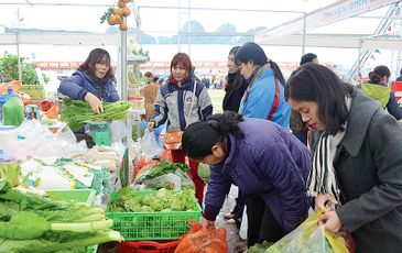 Đầu cơ trục lợi, tăng giá khi đang giãn cách là có tội!