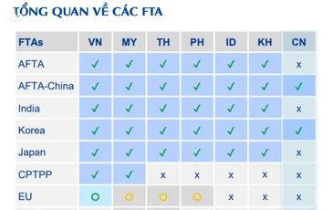 Dezan Shira & Associates: Vì sao thế giới chọn Việt Nam chứ không phải các quốc gia khác?