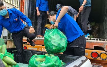 115 tấn rau, củ, quả hướng về vùng dịch Covid-19 TP.HCM và Phú Yên