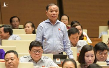 Từ vụ ‘bánh mì’ ở Nha Trang, đại biểu yêu cầu giám sát bổ nhiệm cán bộ