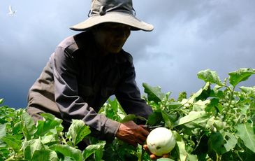 ‘Người dân TP.HCM giúp đỡ chúng tôi nhiều rồi, giờ đến lúc chúng tôi giúp lại’