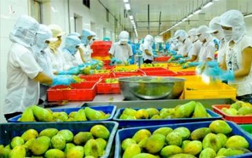Nông sản Việt Nam rộng cửa sang Australia