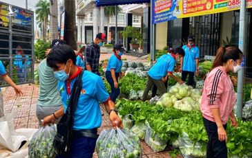 Người trẻ quần quật chuyển rau xanh đến các khu cách ly, phong tỏa tặng người dân