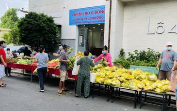 Chung cư ở TP.HCM tặng rau củ miễn phí cho người dân