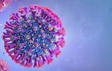 WHO đặt tên các biến thể virus SARS-CoV-2 như thế nào?