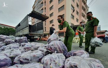 Lực lượng chức năng sẽ mua giúp 100% nhu yếu phẩm, mang đến từng hộ dân TP.HCM