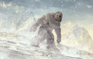 Quân đội Ấn Độ tìm thấy bằng chứng về quái vật huyền thoại Yeti