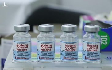 TP.HCM gấp rút đàm phán mua số lượng cực lớn vắc xin Moderna