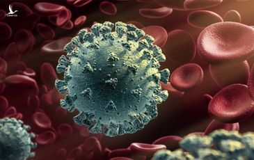 Đâu là thời điểm mà F0 có thể phát tán virus mạnh nhất?