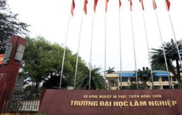 Đại học Lâm nghiệp Việt Nam cấp chứng chỉ chui bất chấp giãn cách xã hội