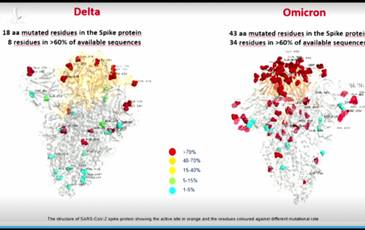 Công bố hình ảnh đầu tiên của biến thể Omicron, chứng minh nguy hiểm hơn cả Delta