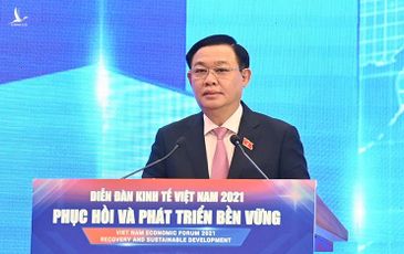 Chủ tịch Quốc hội: Việt Nam sẽ sớm phục hồi và phát triển mạnh mẽ, bền vững