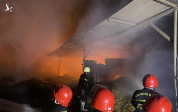 Cháy lớn tại khu xưởng gỗ rộng hàng ngàn mét vuông tại Thủ Đức