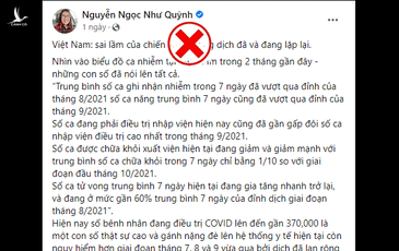 Lại là kẻ chạy trốn tận trời Tây ngồi phán về công tác chống dịch của Việt Nam