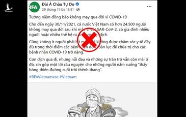 Tưởng niệm đồng bào qua đời vì Covid-19: Thôi đừng mèo khóc chuột nữa RFA