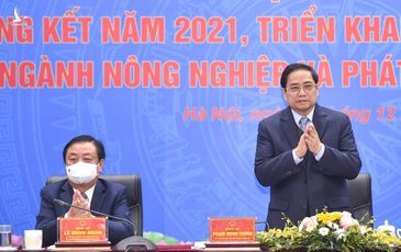 Điểm sáng nông nghiệp 2021: Xuất khẩu nông, lâm, thủy sản lập kỷ lục