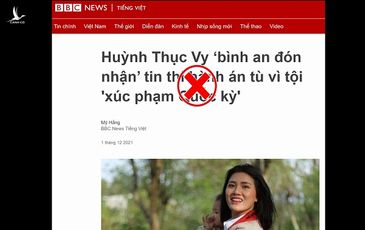 Huỳnh Thục Vy: Xúc phạm Quốc kỳ mà lại được ca ngợi như một người hùng