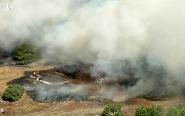 Úc ban bố tình trạng khẩn cấp ở nhiều nơi vì cháy rừng