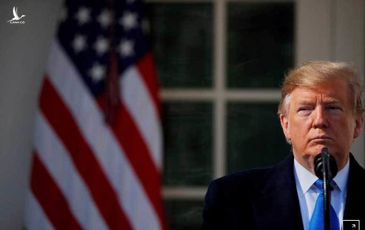 Lời “tiên tri” năm 2020 của ông Trump gây bão