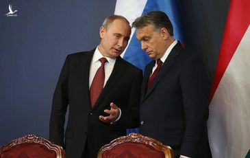 Quốc gia NATO phản đối trừng phạt dầu khí Nga, Ukraine chất vấn về “động cơ” thực sự
