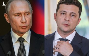 Tổng thống Putin – Zelensky sẵn sàng gặp mặt, chiến tranh sắp đi đến hồi kết?