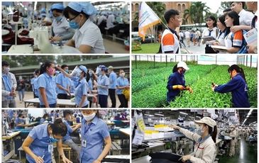 Để thị trường lao động Việt Nam phục hồi nhanh và bền vững