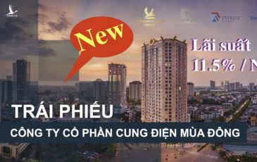 Hé lộ mục đích huy động vốn lãi suất cao của nhóm Tân Hoàng Minh