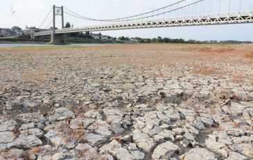 Chưa qua ngày hè đổ lửa, châu Âu đã phải lo về mùa đông sắp tới